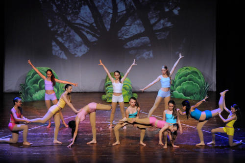 Danza 04