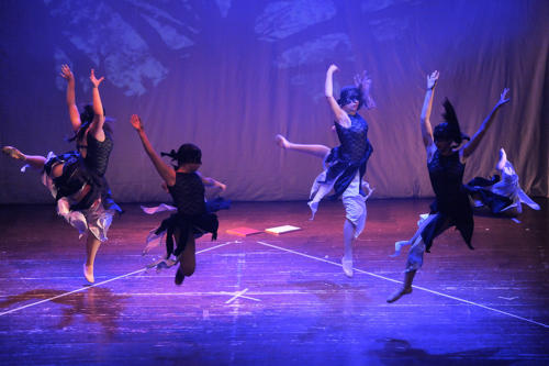 Danza 10