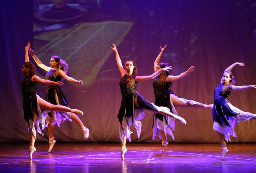 Danza 14