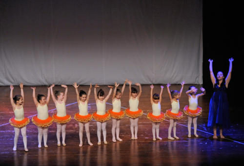 Danza 17