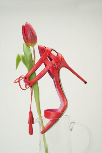 Still life 01